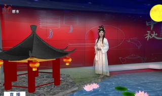 新闻夜航都市版 新闻夜航都市版