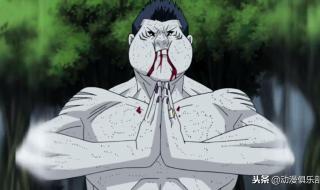 世界最弱的鲨鱼