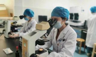 恐龙血型是什么血型