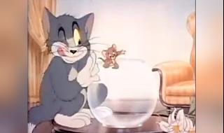 猫和老鼠四川方言版 猫和老鼠四川方言版