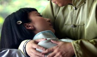 药草悠悠芳草香 药草悠悠芳草香