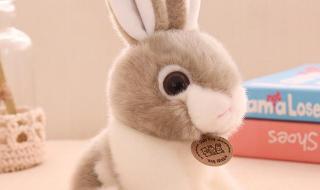 嫌肥挑瘦是什么生肖 嫌肥挑瘦是什么生肖