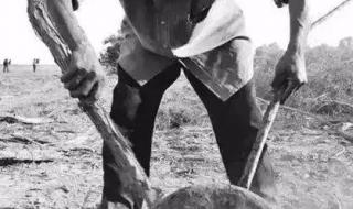 亚克西是什么意思