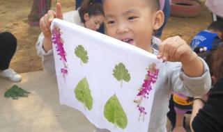 石家庄外国语幼儿园 石家庄外国语幼儿园