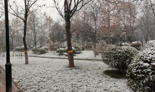 西安解封最新消息 西安解封最新消息