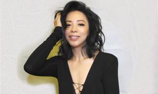 张惠妹上海演唱会 张惠妹上海演唱会