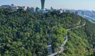 厦门旅游年卡办理 厦门旅游年卡办理