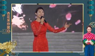 桃花红杏花白原唱 桃花红杏花白原唱