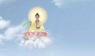 朱紫国剧情 朱紫国剧情