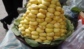 新疆无花果 新疆无花果