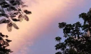 我来人间一趟 我来人间一趟