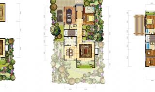 温哥华森林 温哥华森林