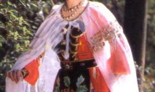 新西游记铁扇公主 新西游记铁扇公主