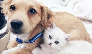 幸福刚刚好 幸福刚刚好