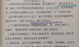 骑鹅旅行记课堂笔记 骑鹅旅行记课堂笔记