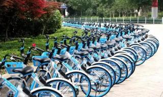 汽车被共享单车包围