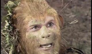 闪烁之光孙悟空皮肤