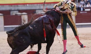 广场舞西班牙斗牛士 广场舞西班牙斗牛士