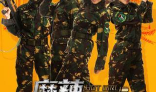 麻辣女兵演员表介绍