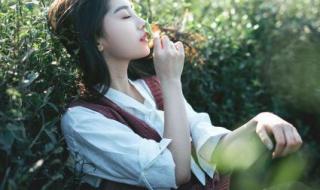 leaveme是什么意思 leaveme是什么意思