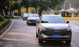 双城生活经典语录 双城生活经典语录