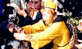 世界上的蟒蛇有多大 世界上的蟒蛇有多大