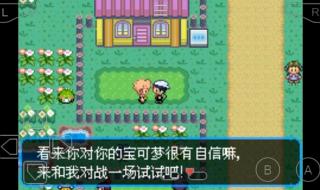 口袋妖怪绿宝石代码