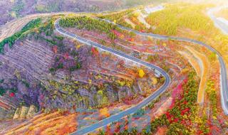 等闲识得春风面下一句 等闲识得春风面下一句