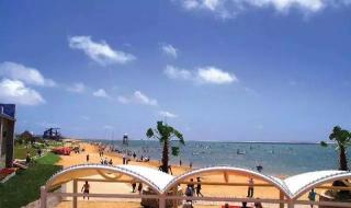 上海上海都市菜园 上海上海都市菜园