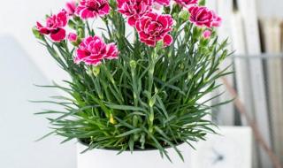 送老师礼物前十件排名 送老师礼物前十件排名