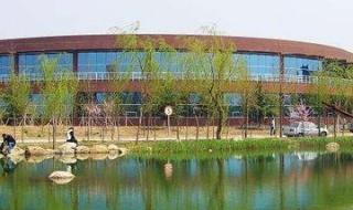 潍坊中学录取标准 潍坊中学录取标准