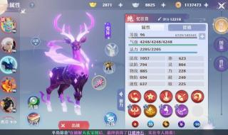 梦幻新诛仙手游法师 梦幻新诛仙手游法师