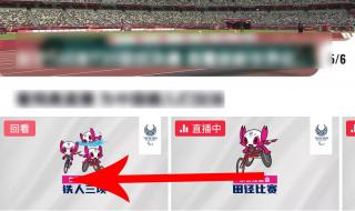 东京残奥会奖牌榜明细