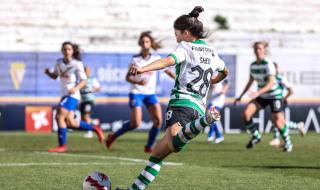 凯尔特人外貌特征 凯尔特人外貌特征