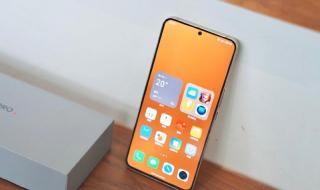 2023跳水世界杯赛程